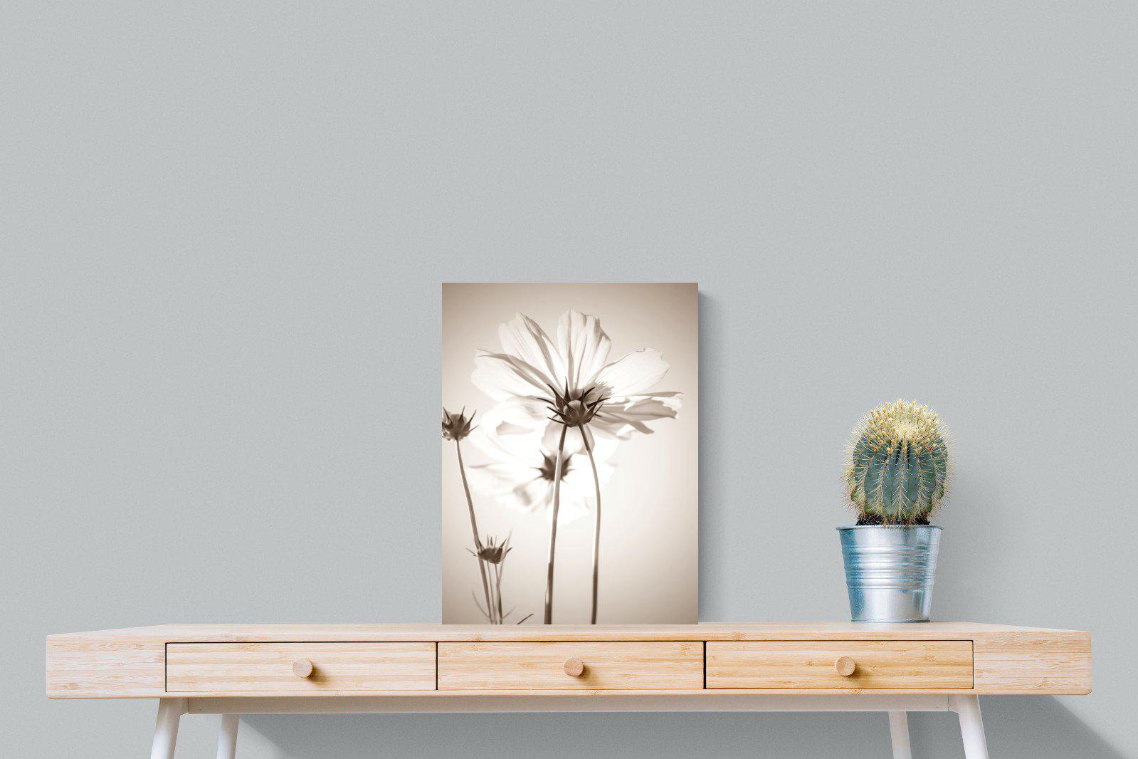 White Cosmos-Wall_Art-45 x 60cm-Mounted Canvas-No Frame-Pixalot