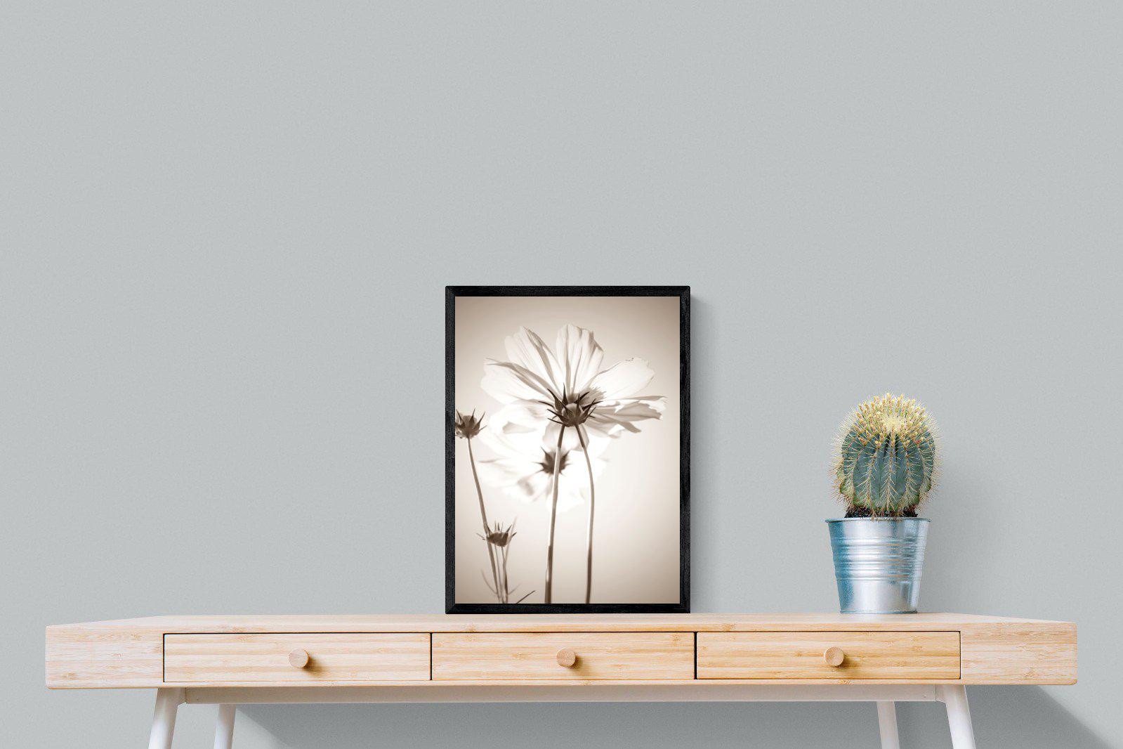 White Cosmos-Wall_Art-45 x 60cm-Mounted Canvas-Black-Pixalot