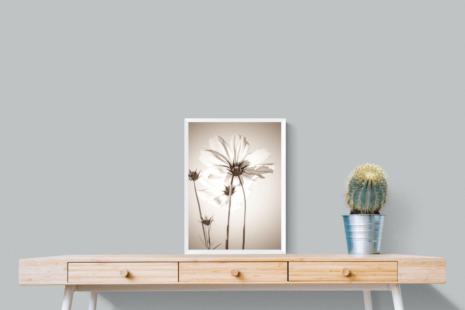 White Cosmos-Wall_Art-45 x 60cm-Mounted Canvas-White-Pixalot