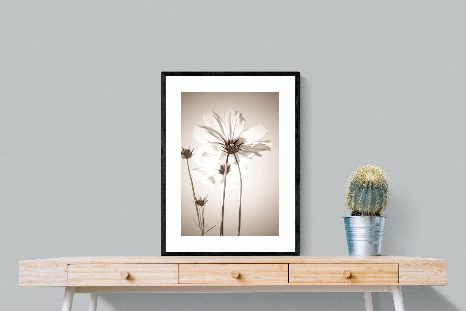 White Cosmos-Wall_Art-60 x 80cm-Framed Print-Black-Pixalot