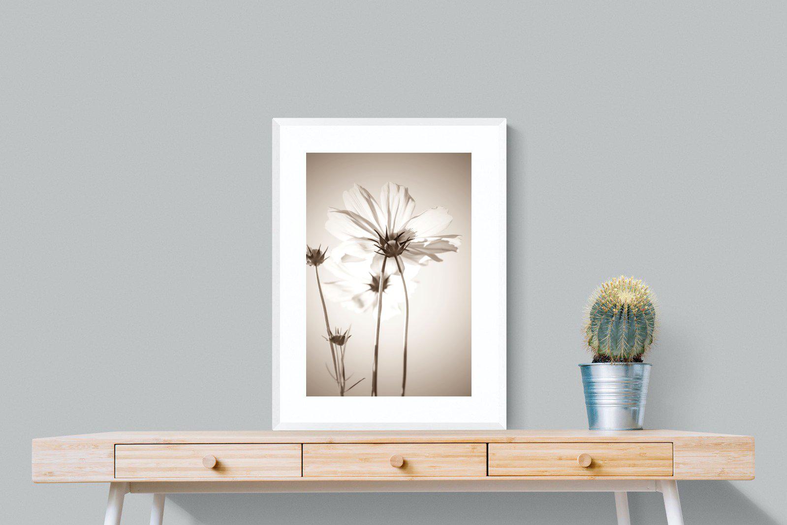 White Cosmos-Wall_Art-60 x 80cm-Framed Print-White-Pixalot