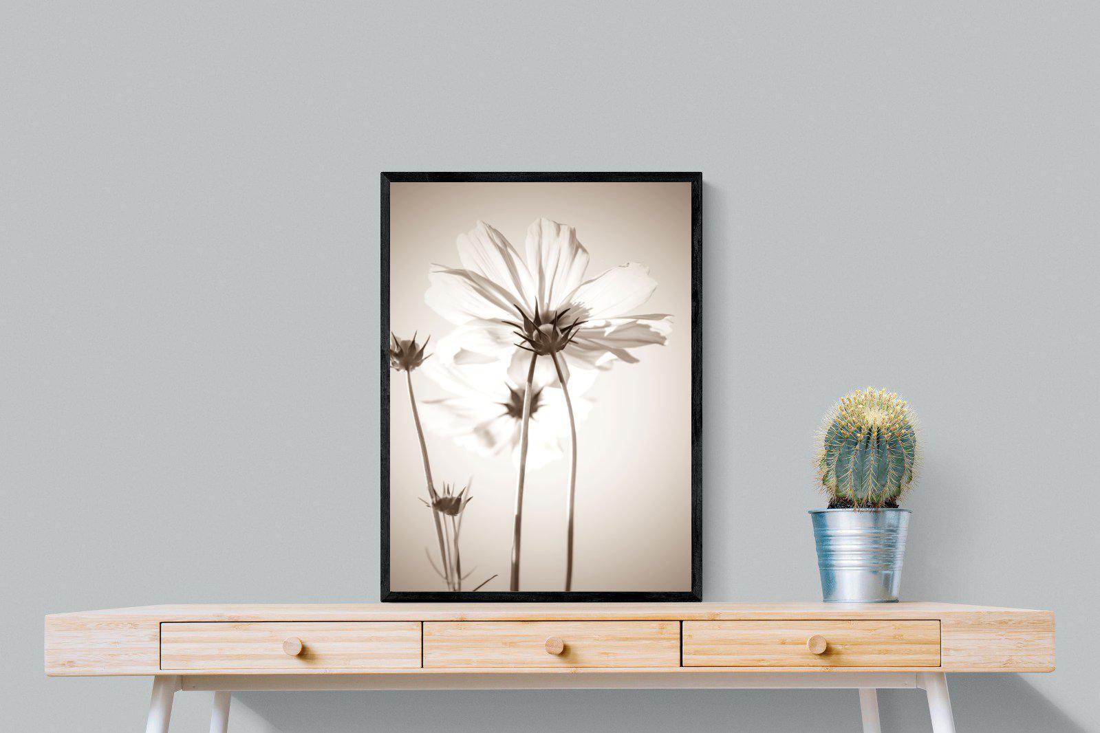 White Cosmos-Wall_Art-60 x 80cm-Mounted Canvas-Black-Pixalot