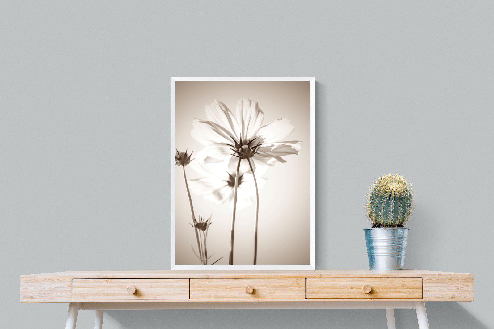 White Cosmos-Wall_Art-60 x 80cm-Mounted Canvas-White-Pixalot