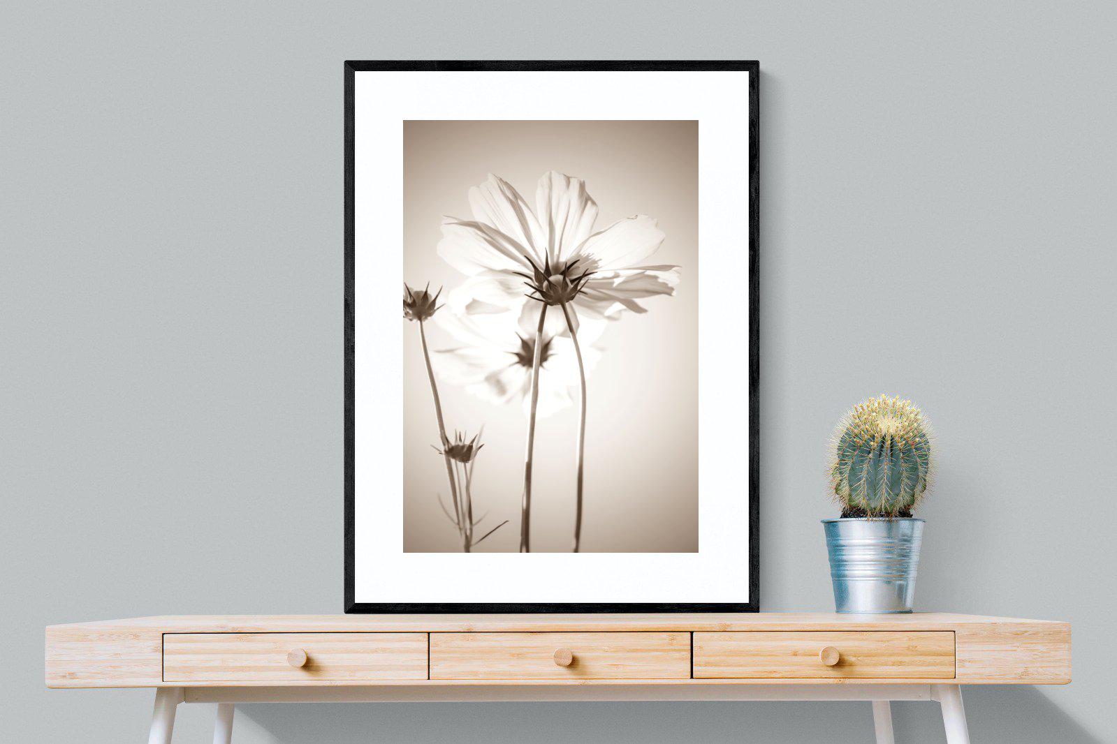 White Cosmos-Wall_Art-75 x 100cm-Framed Print-Black-Pixalot