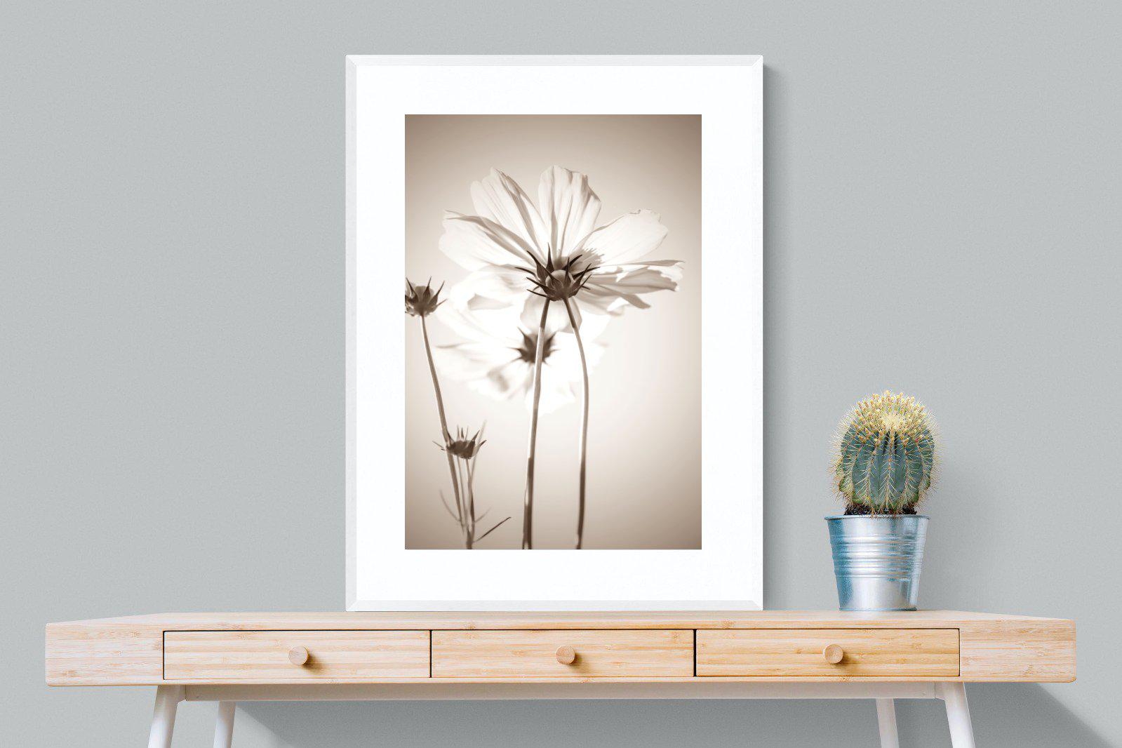 White Cosmos-Wall_Art-75 x 100cm-Framed Print-White-Pixalot