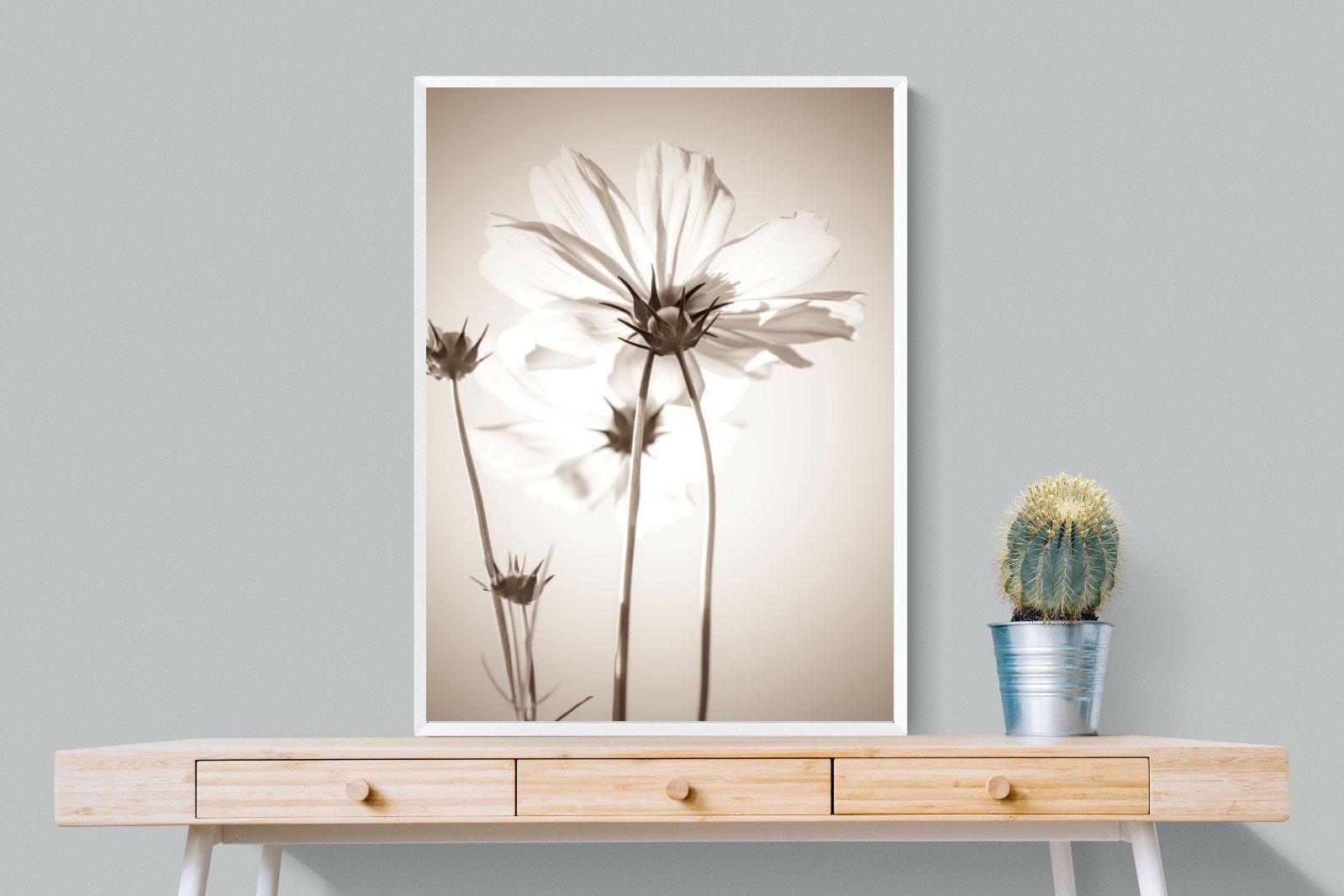 White Cosmos-Wall_Art-75 x 100cm-Mounted Canvas-White-Pixalot