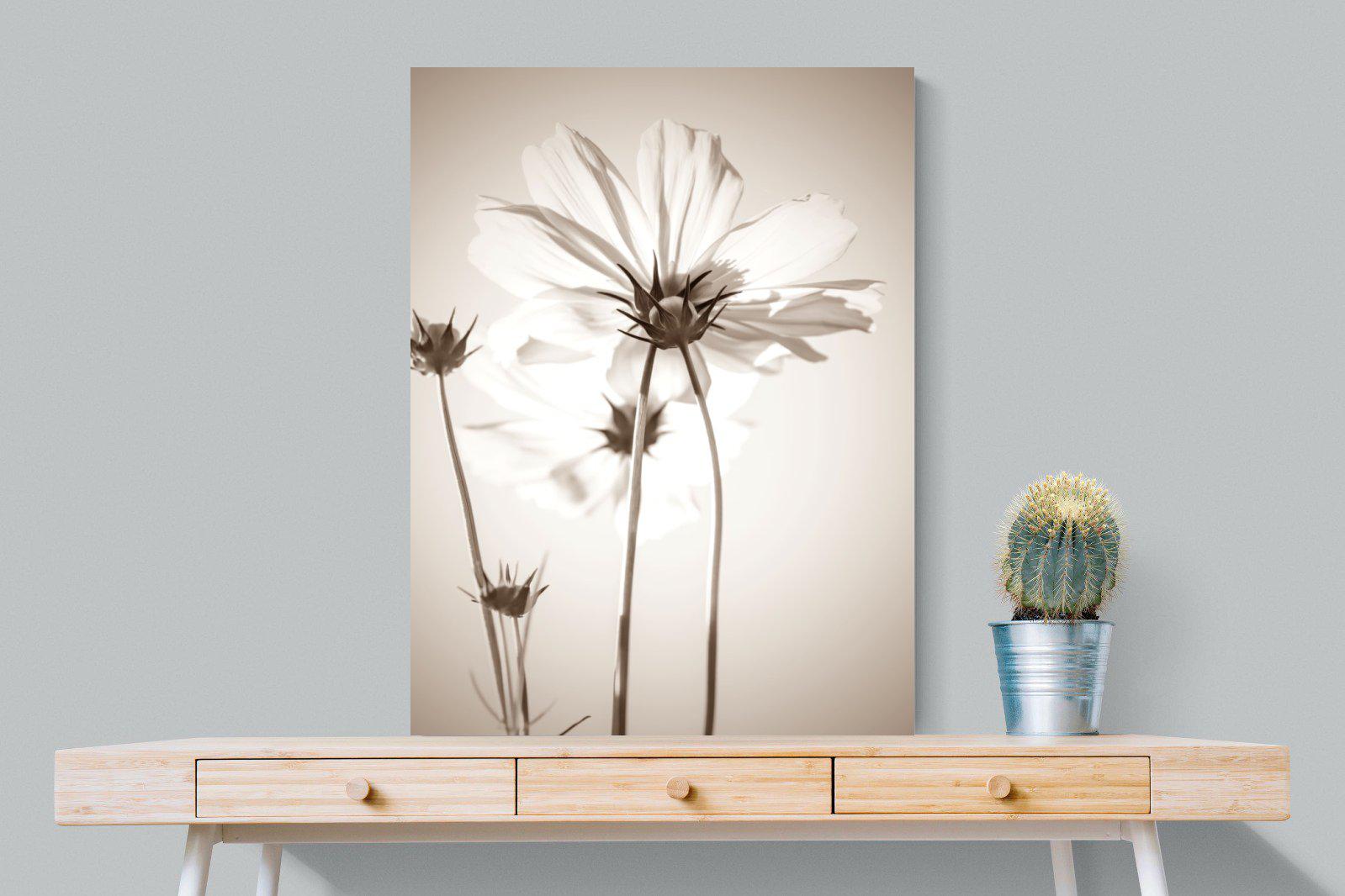 White Cosmos-Wall_Art-75 x 100cm-Mounted Canvas-No Frame-Pixalot