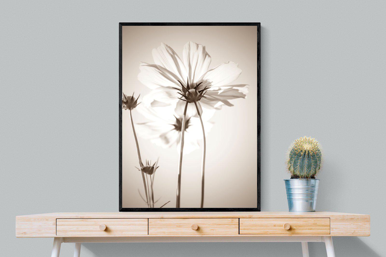 White Cosmos-Wall_Art-75 x 100cm-Mounted Canvas-Black-Pixalot