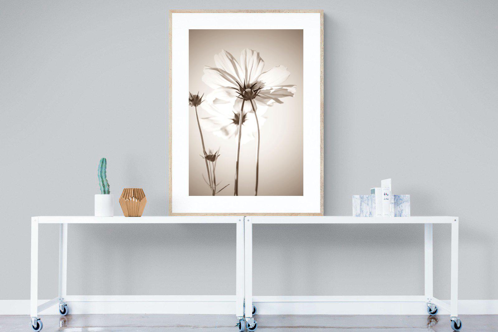 White Cosmos-Wall_Art-90 x 120cm-Framed Print-Wood-Pixalot