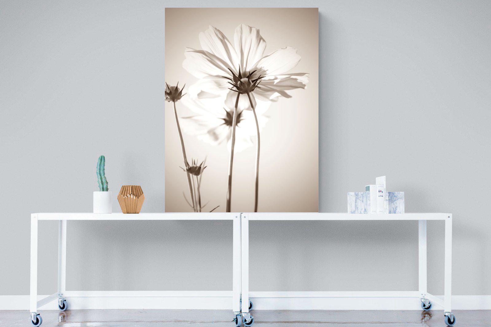 White Cosmos-Wall_Art-90 x 120cm-Mounted Canvas-No Frame-Pixalot