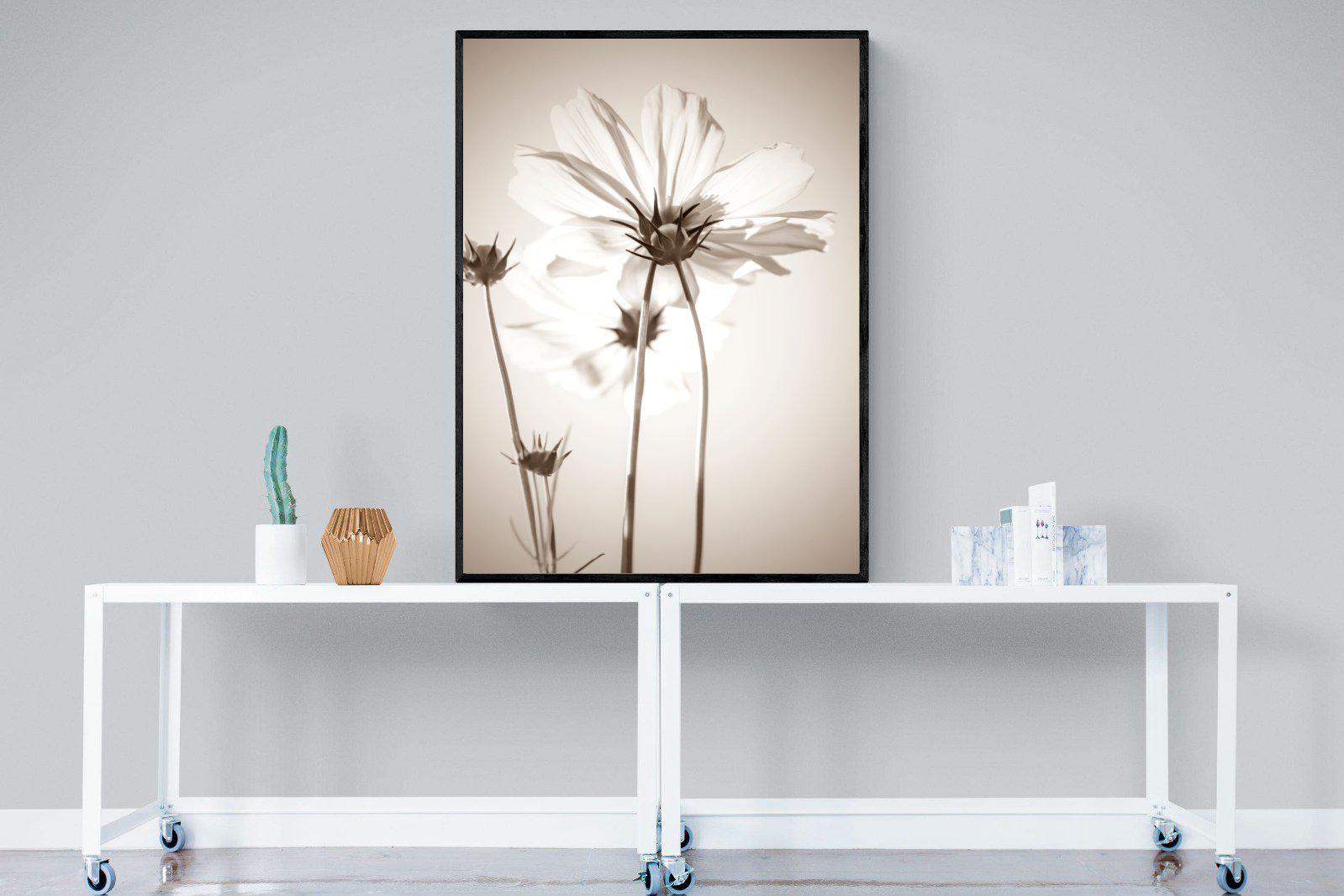 White Cosmos-Wall_Art-90 x 120cm-Mounted Canvas-Black-Pixalot