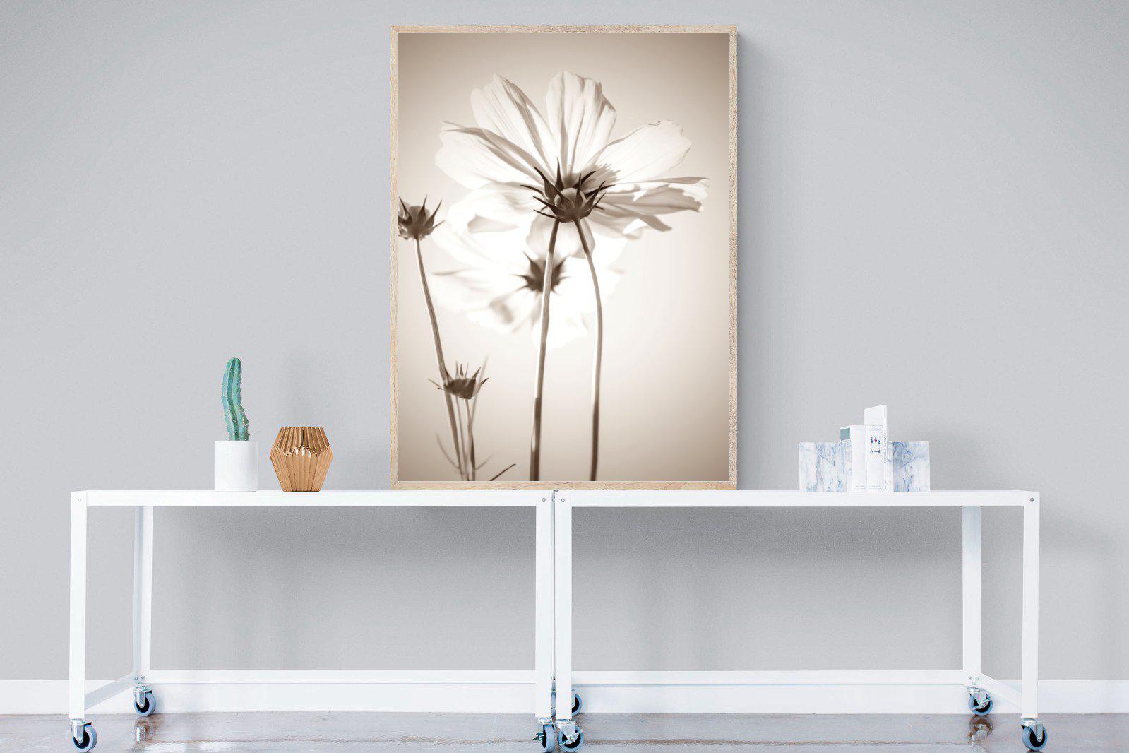 White Cosmos-Wall_Art-90 x 120cm-Mounted Canvas-Wood-Pixalot