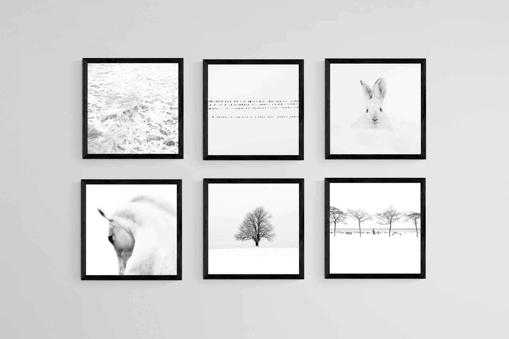 White Set-Wall_Art-40 x 40cm (x6)-Mounted Canvas-Black-Pixalot