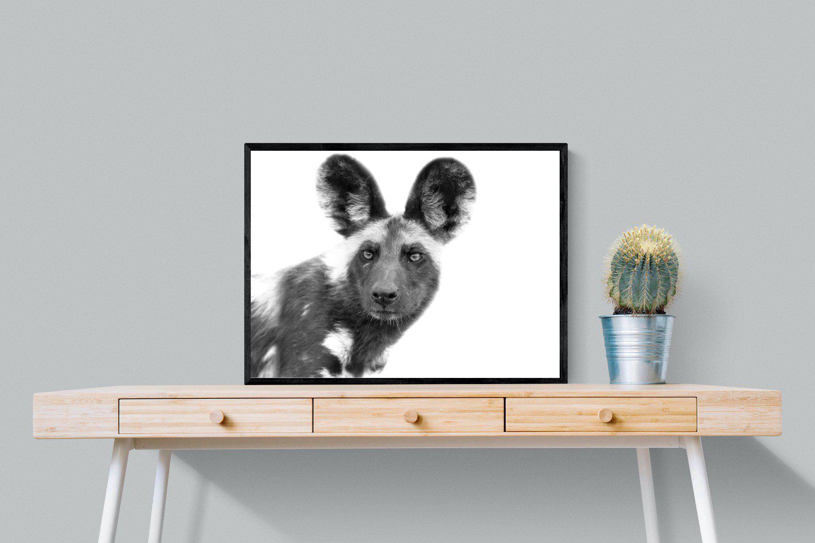 Wild Dog-Wall_Art-80 x 60cm-Mounted Canvas-Black-Pixalot