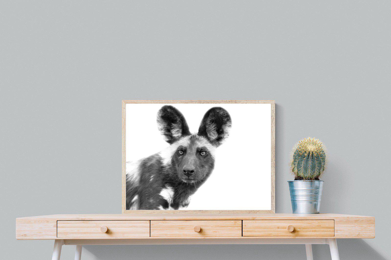 Wild Dog-Wall_Art-80 x 60cm-Mounted Canvas-Wood-Pixalot