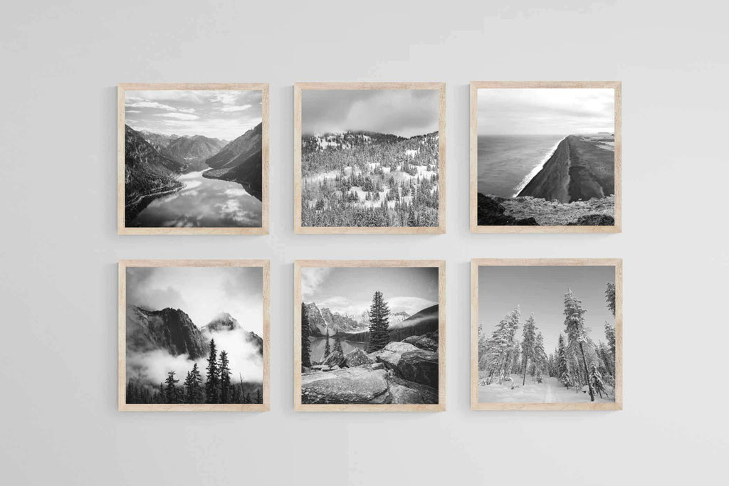 Wilderness Set-Wall_Art-40 x 40cm (x6)-Mounted Canvas-Wood-Pixalot