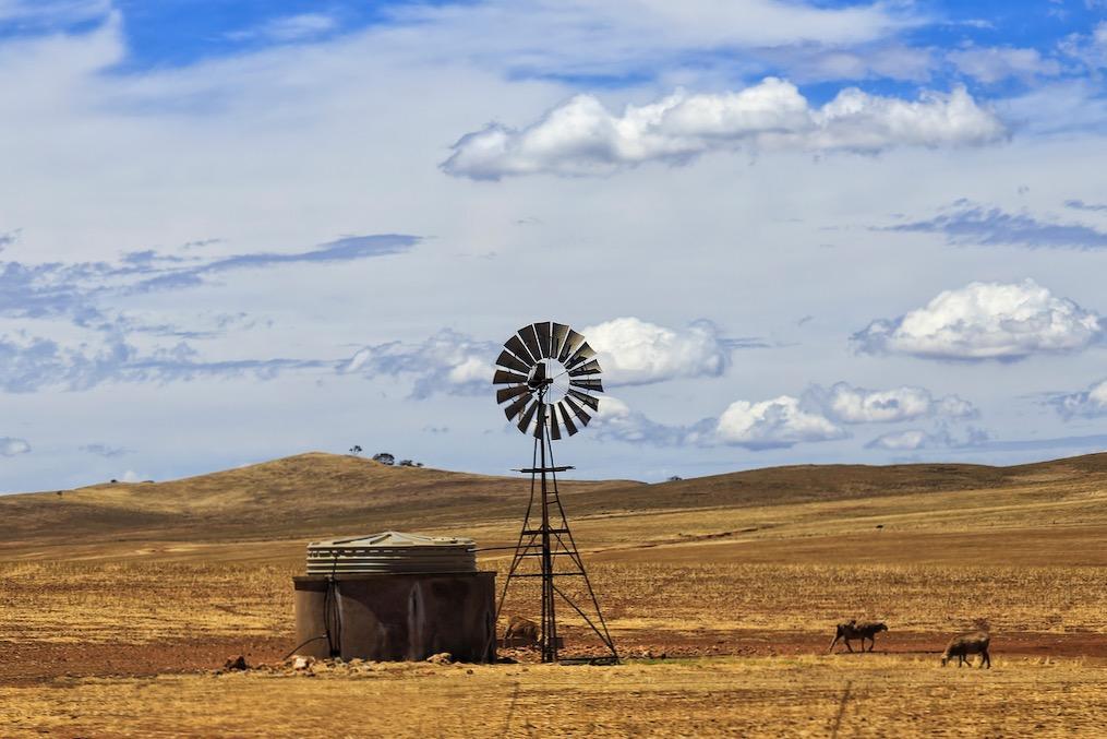 Windmill-Wall_Art-Pixalot