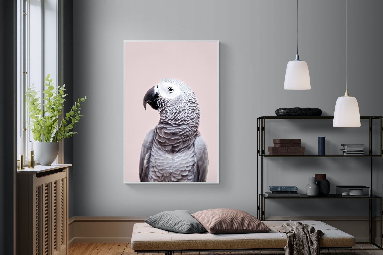 Pixalot African Grey