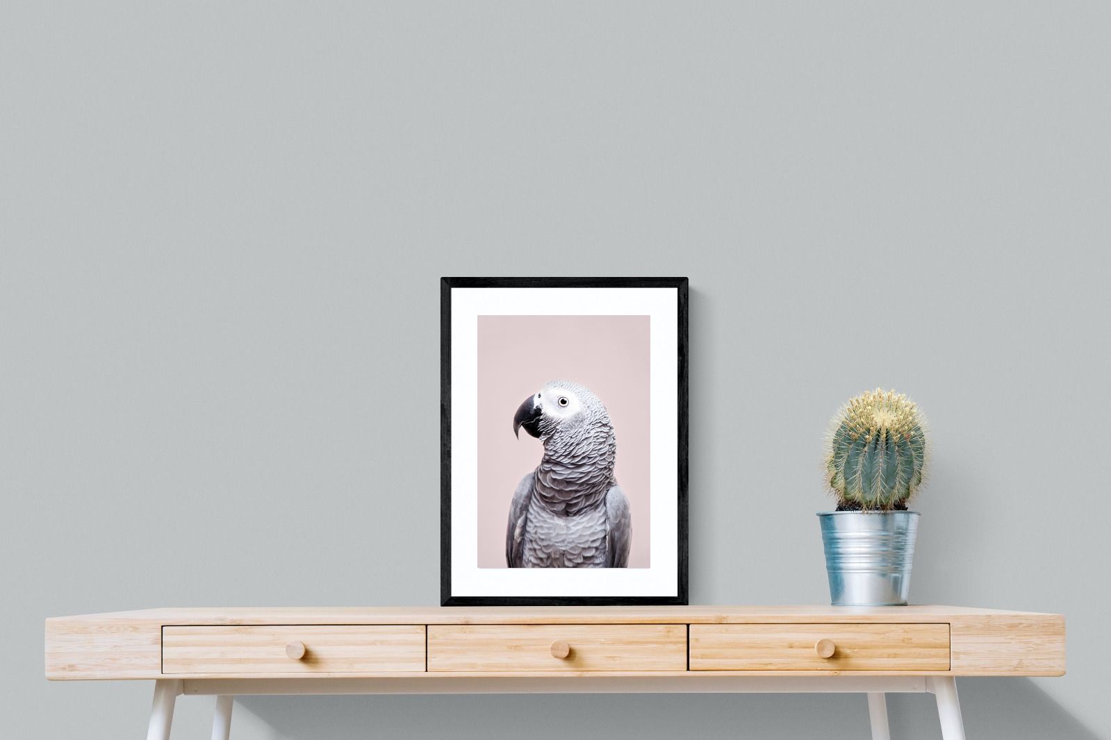 Pixalot African Grey