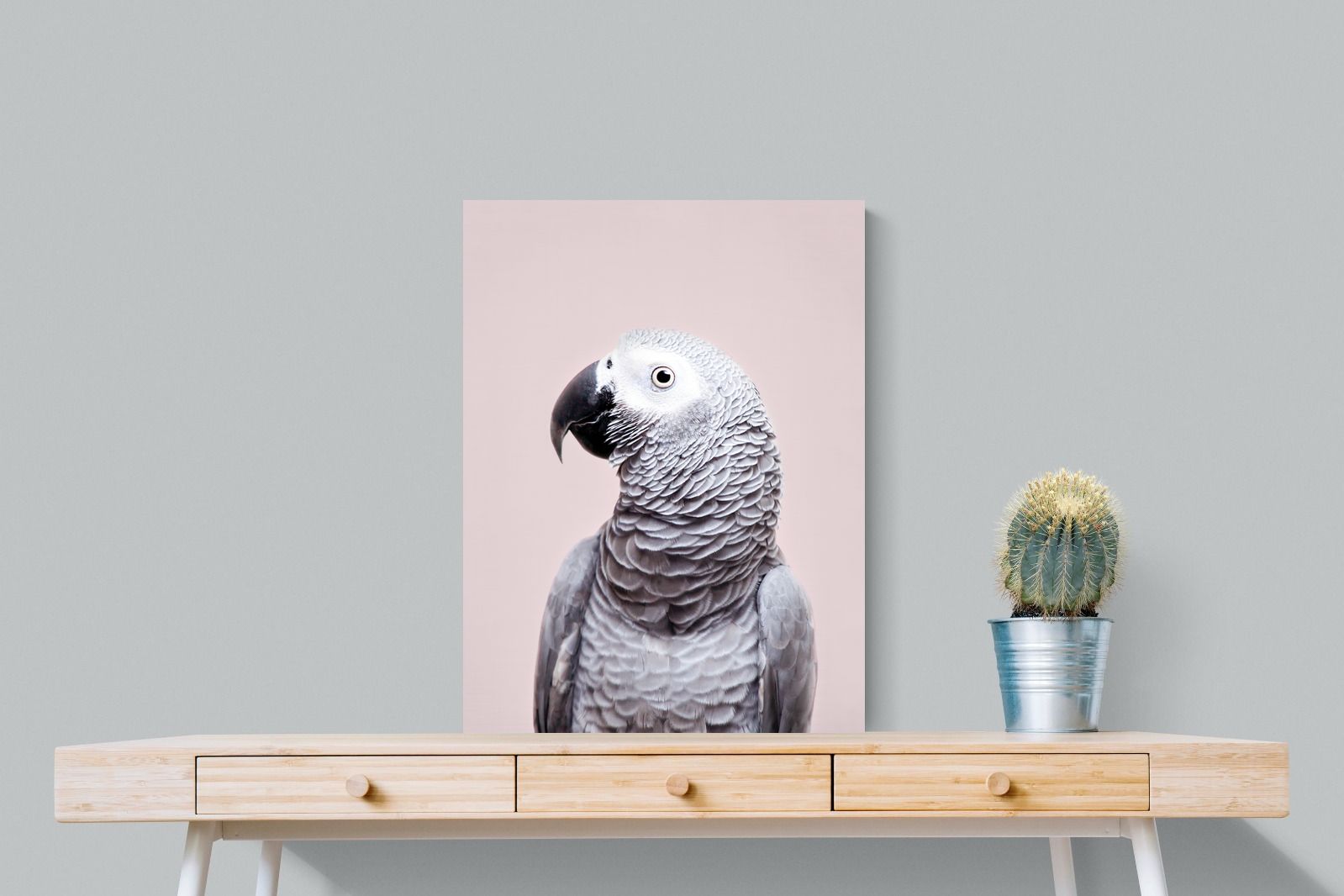 Pixalot African Grey