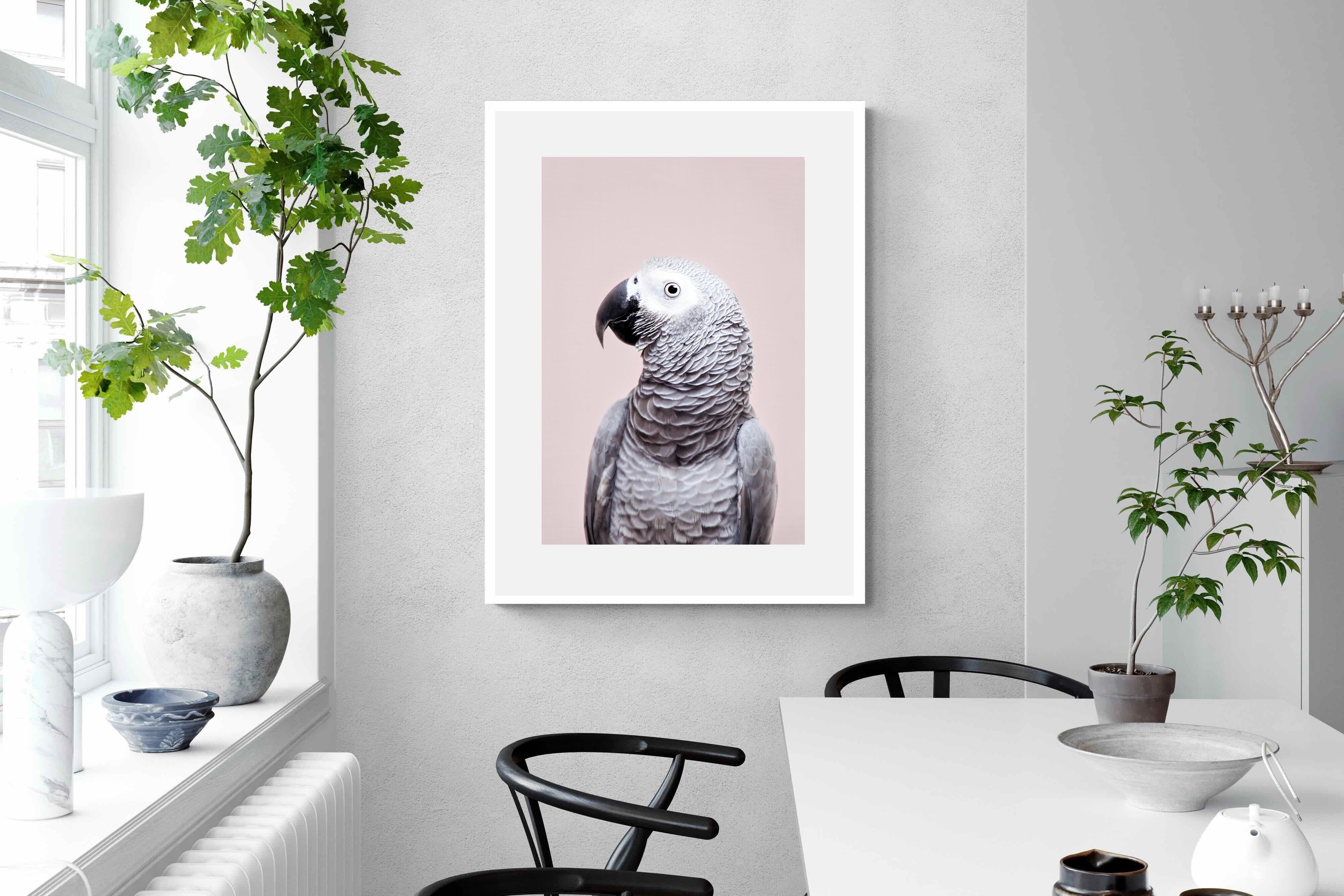 Pixalot African Grey