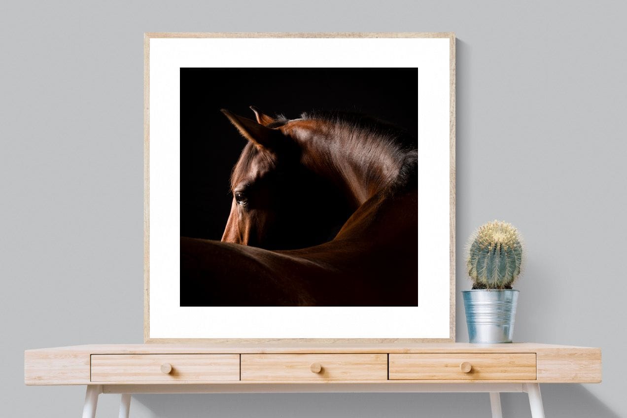 Bronze Mare-Wall_Art-100 x 100cm-Framed Print-Wood-Pixalot