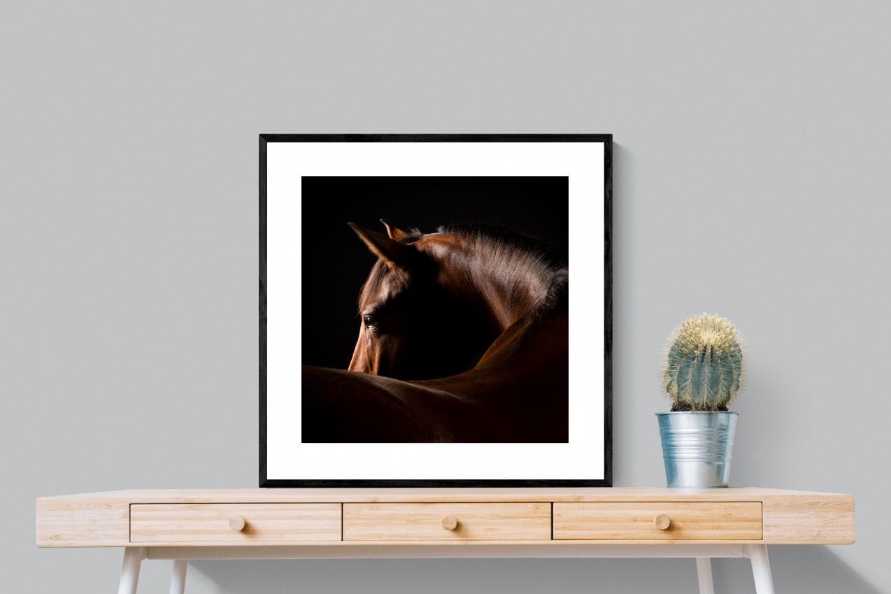 Bronze Mare-Wall_Art-80 x 80cm-Framed Print-Black-Pixalot