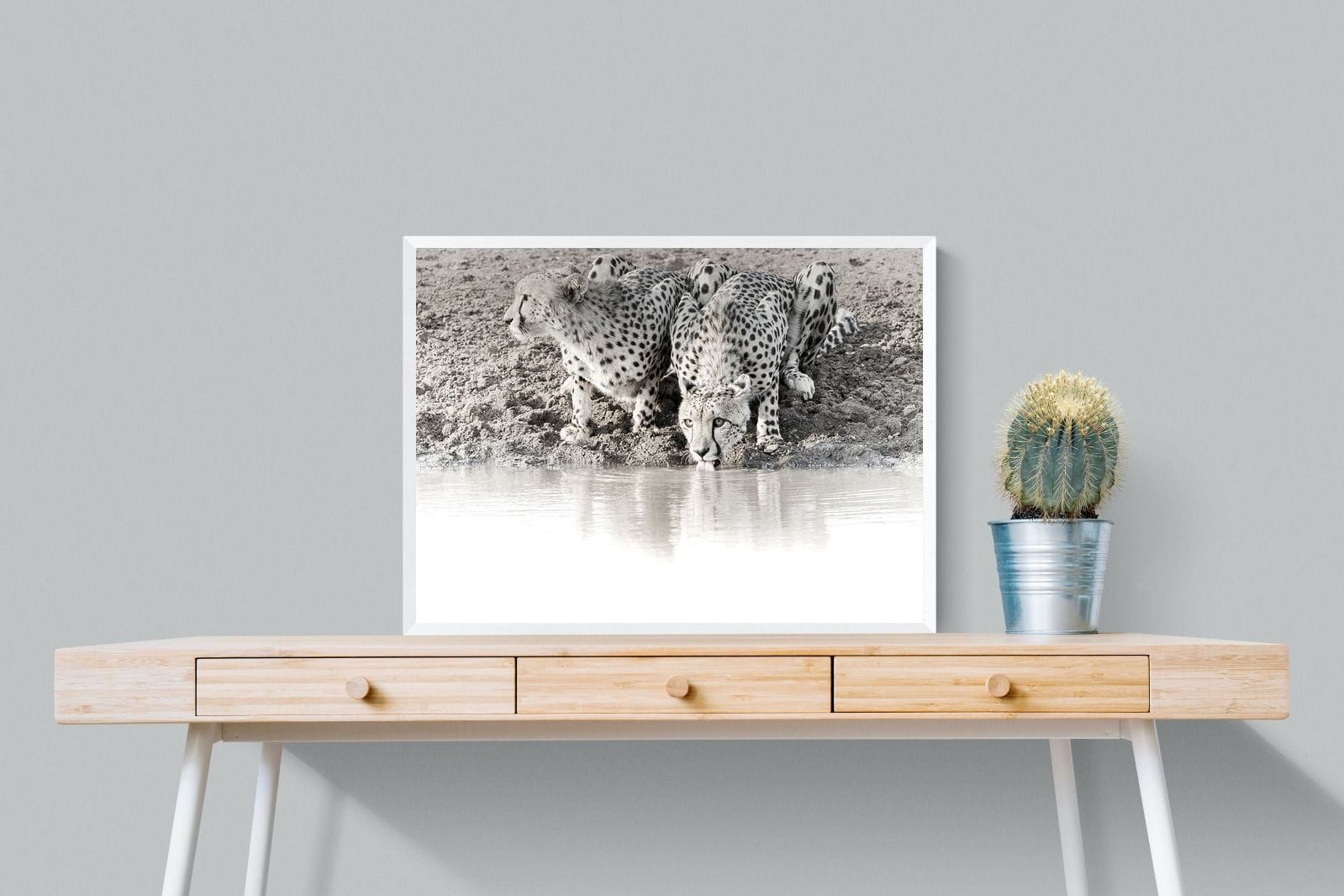 Cheetah Sisters-Wall_Art-80 x 60cm-Mounted Canvas-White-Pixalot