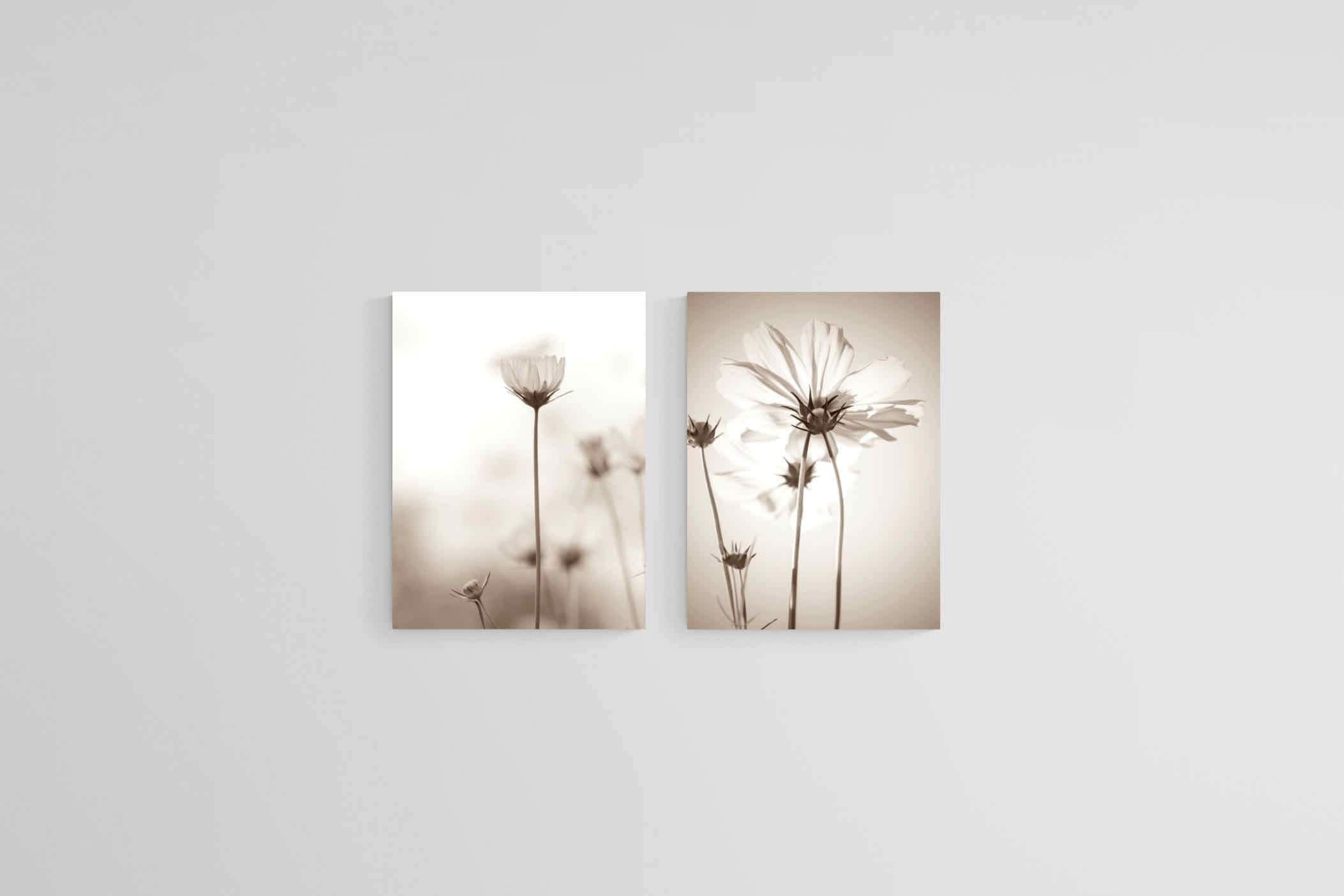 Cosmos Set-Wall_Art-45 x 60cm (x2)-Mounted Canvas-No Frame-Pixalot