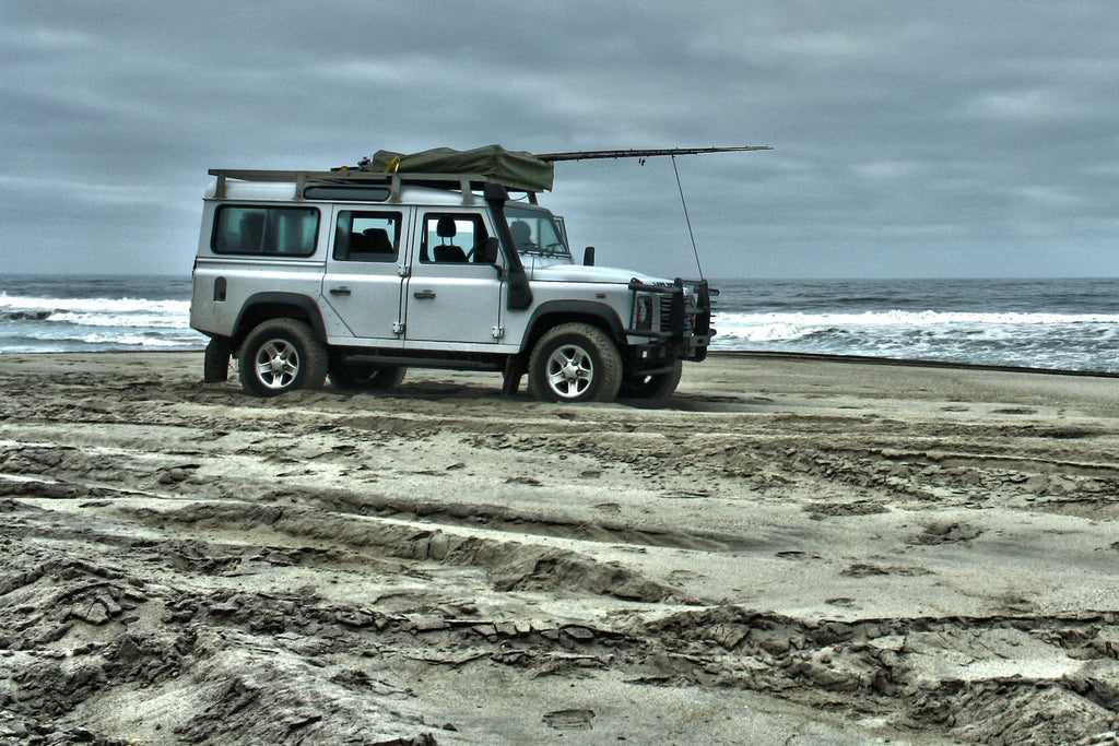 Defender at the Beach-Wall_Art-Pixalot