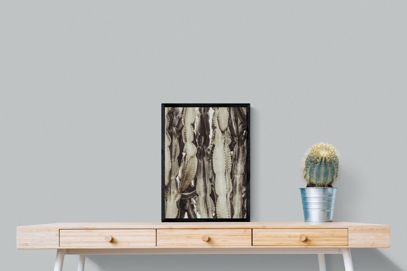 Desert Foliage-Wall_Art-45 x 60cm-Mounted Canvas-Black-Pixalot