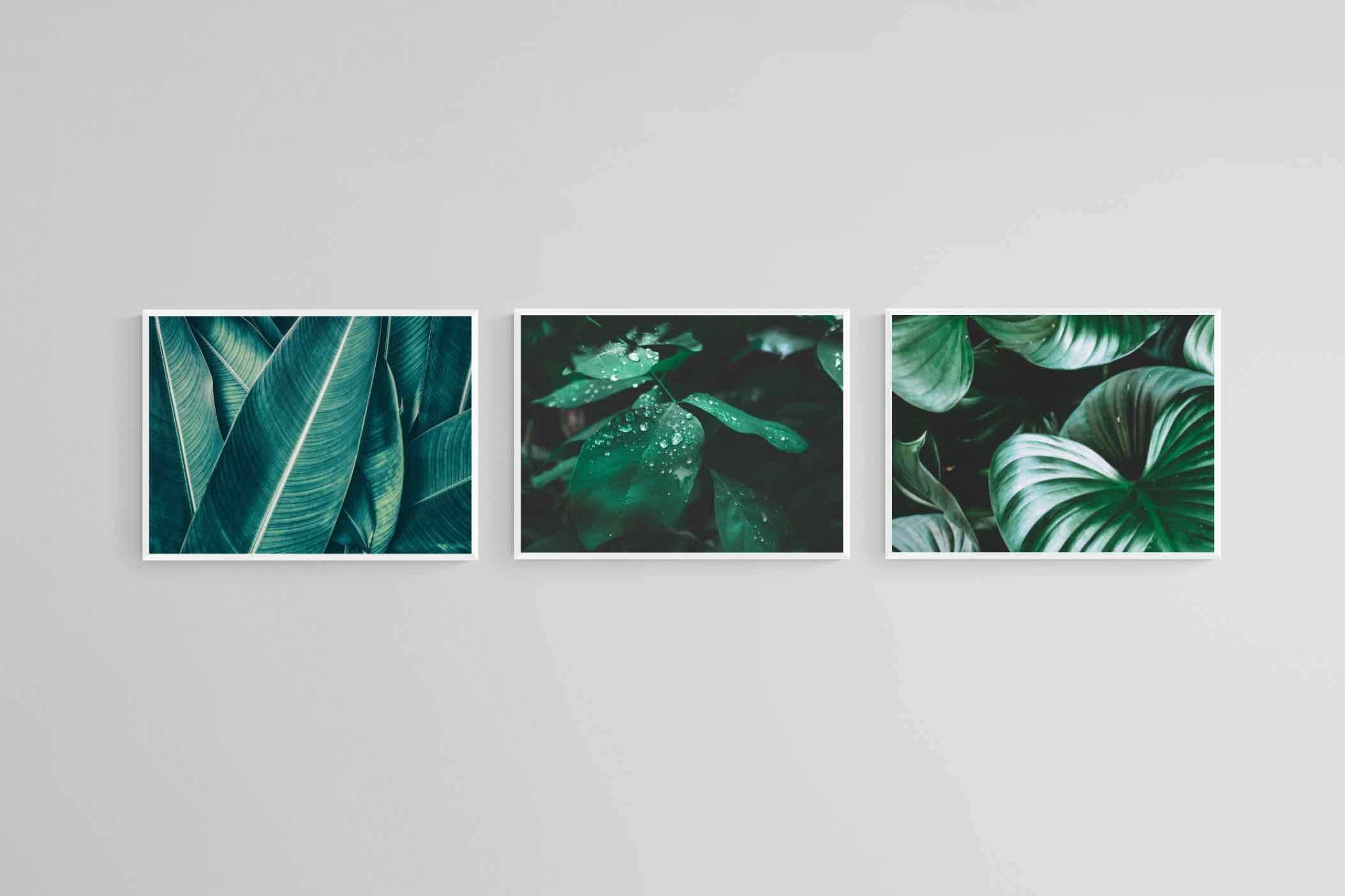 Foliage Set-Wall_Art-60 x 45cm (x3)-Mounted Canvas-White-Pixalot