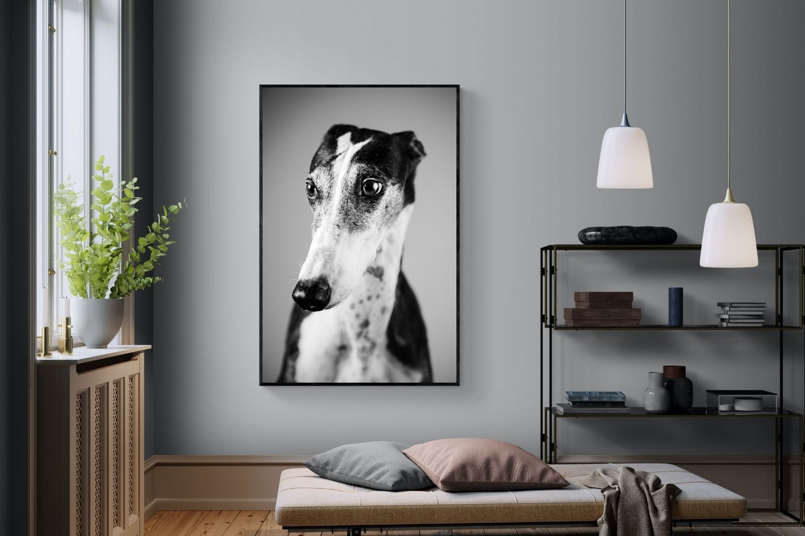 Pixalot Greyhound