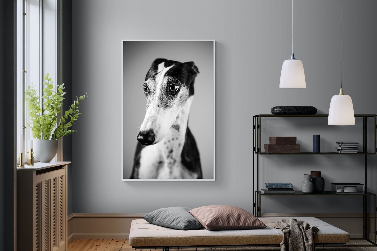 Pixalot Greyhound