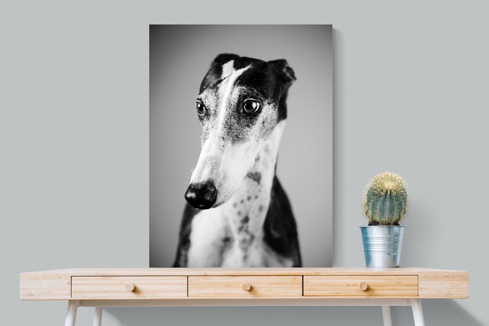 Pixalot Greyhound