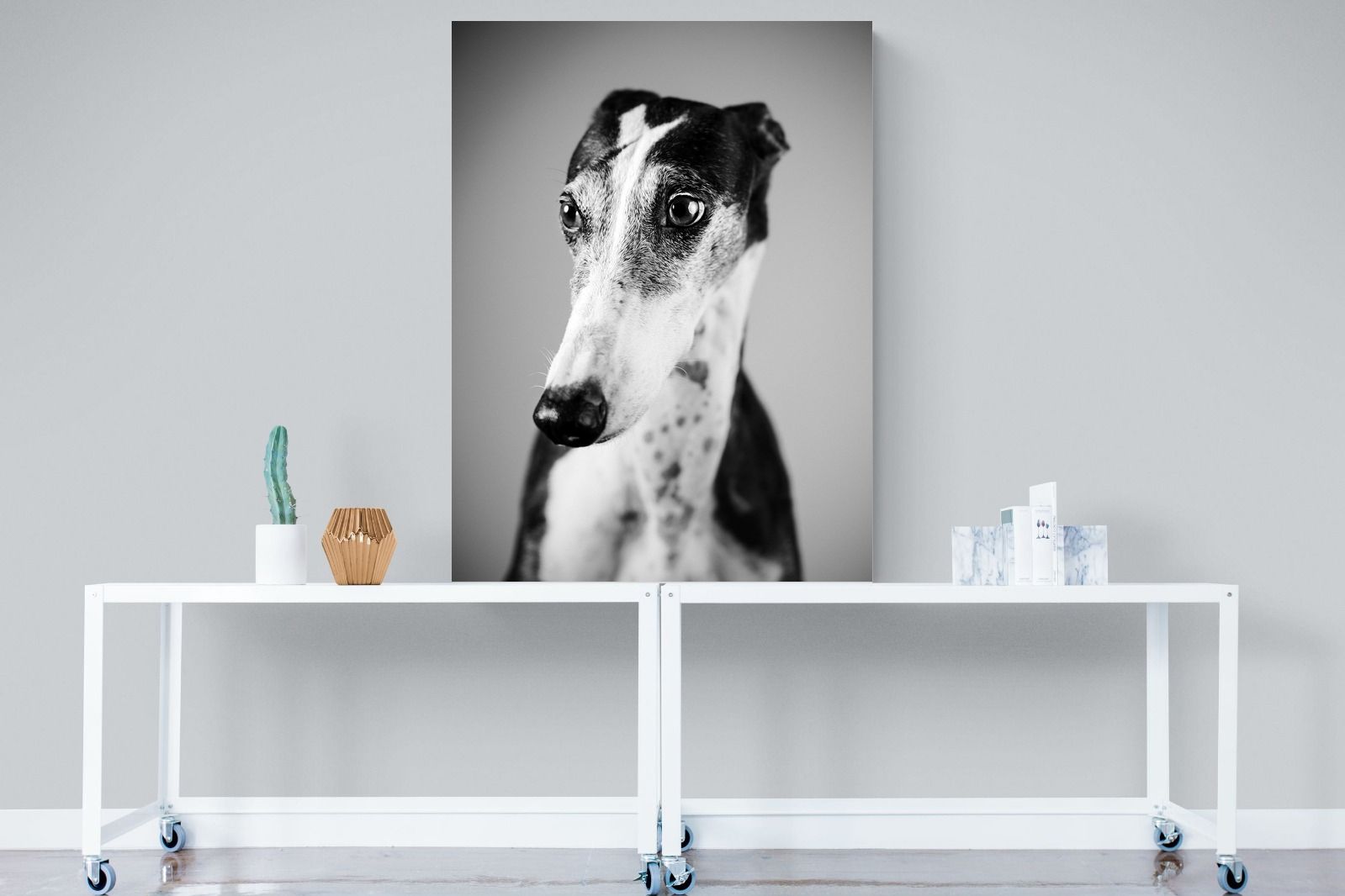 Pixalot Greyhound