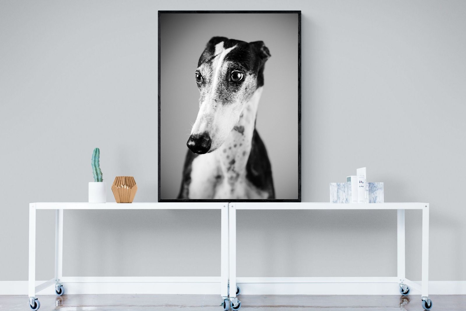 Pixalot Greyhound