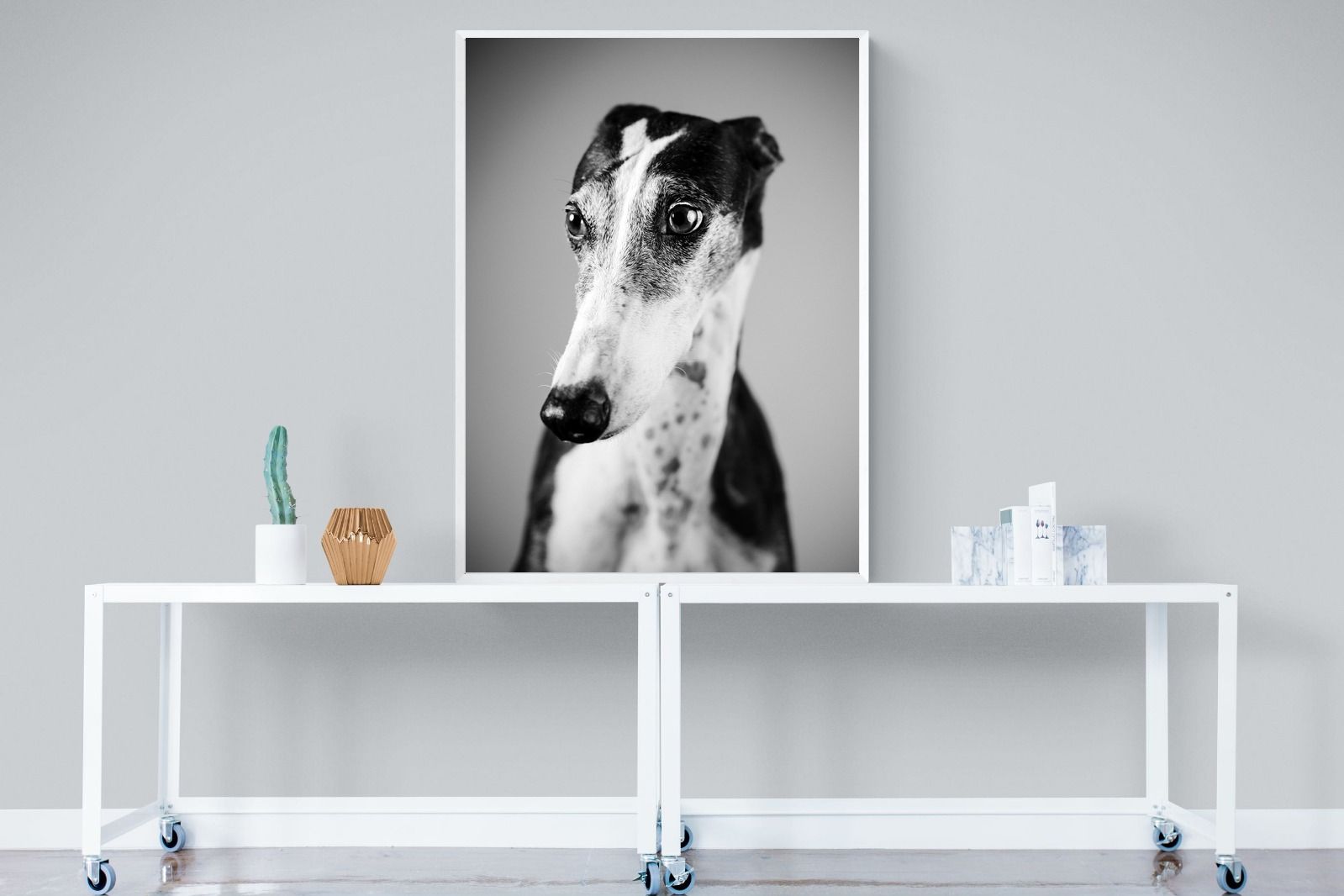 Pixalot Greyhound