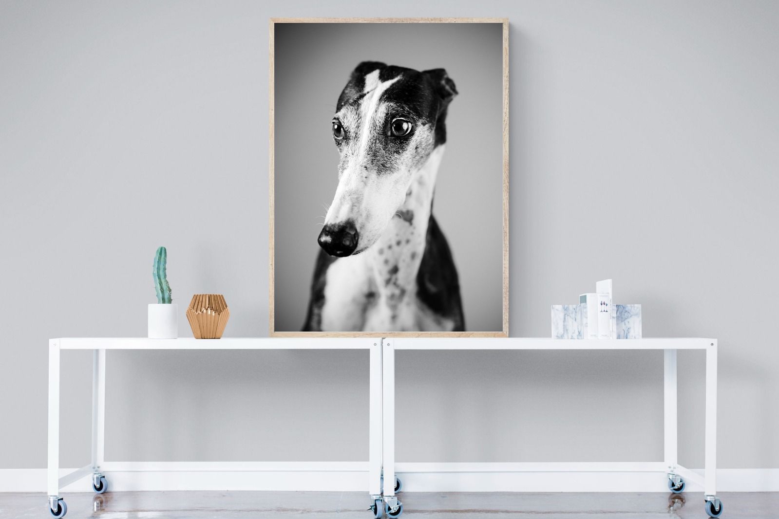 Pixalot Greyhound