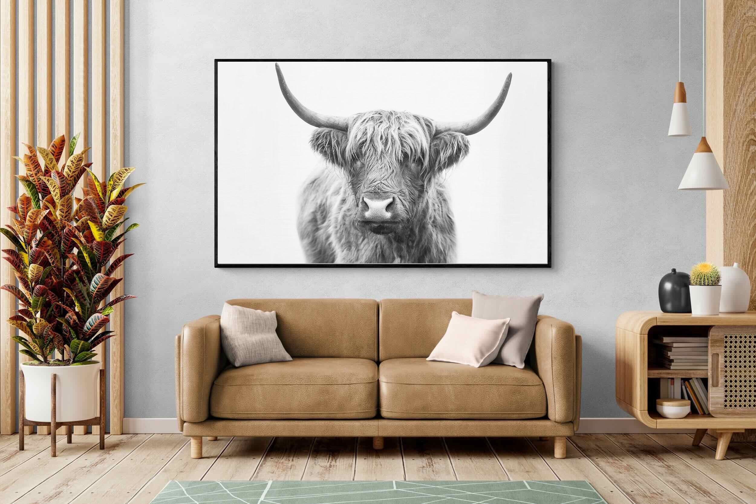 Pixalot Highland Bull