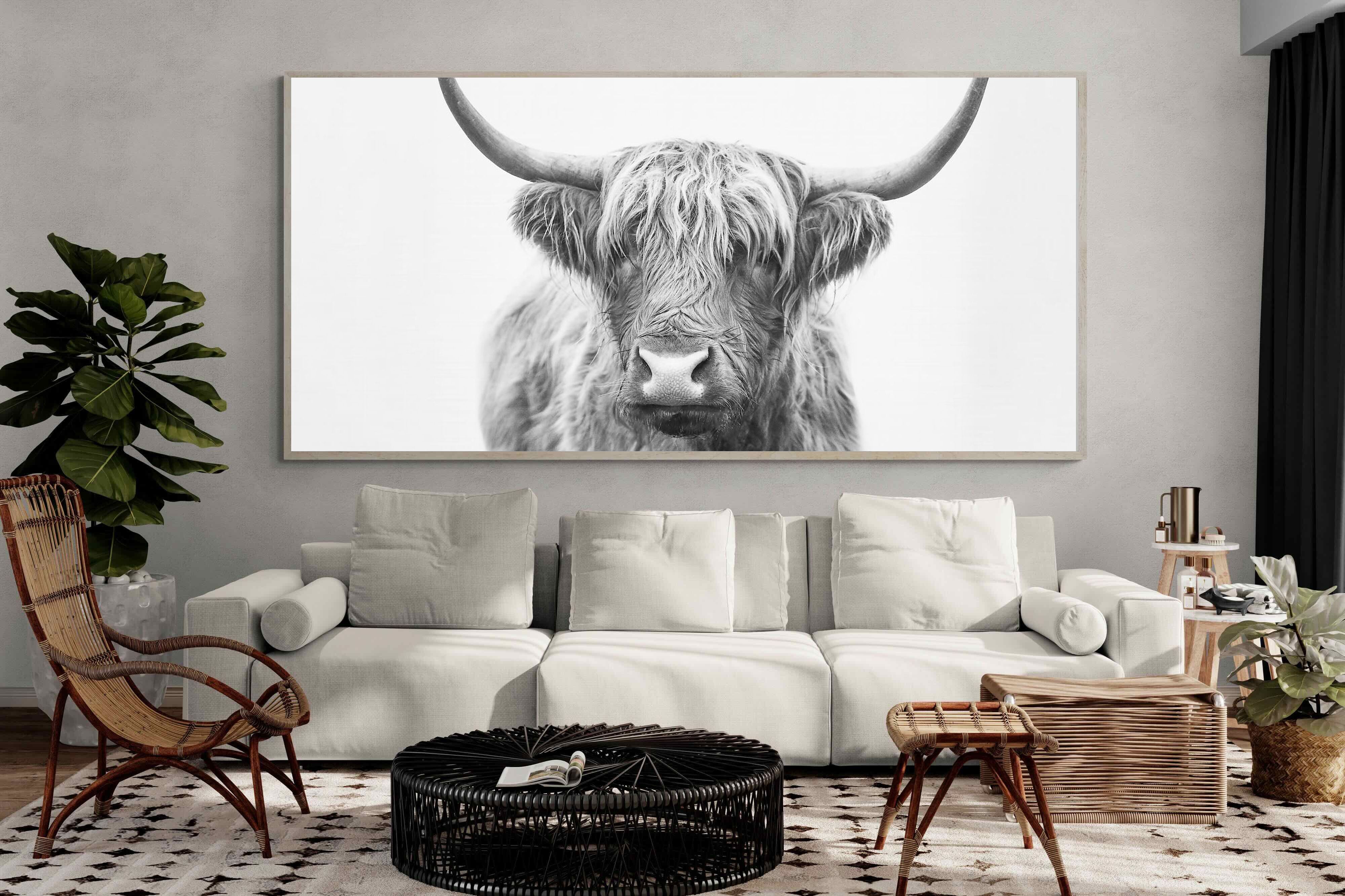 Pixalot Highland Bull