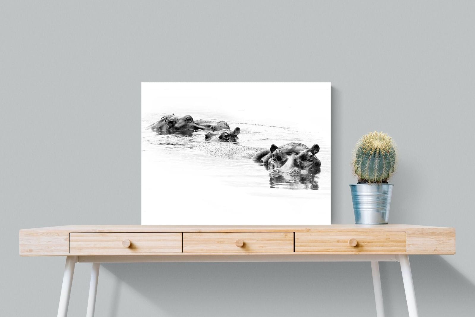 Hippo Trio-Wall_Art-80 x 60cm-Mounted Canvas-No Frame-Pixalot