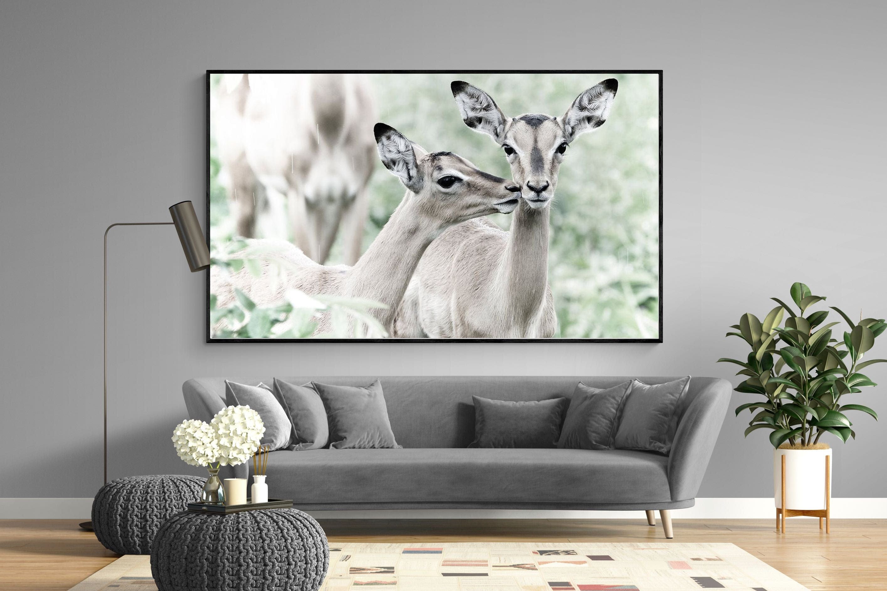 Impala Kisses-Wall_Art-220 x 130cm-Mounted Canvas-Black-Pixalot