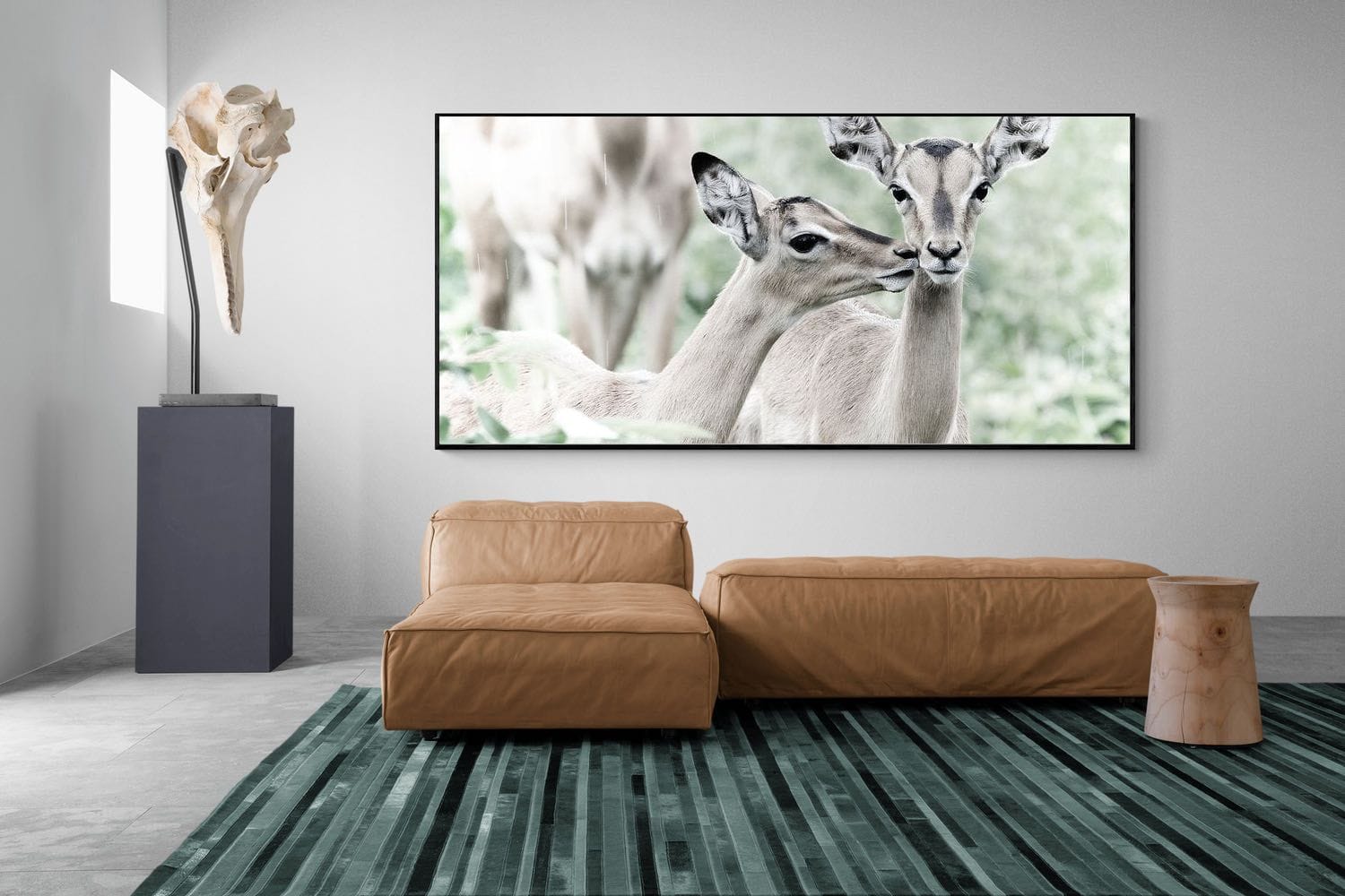 Impala Kisses-Wall_Art-275 x 130cm-Mounted Canvas-Black-Pixalot