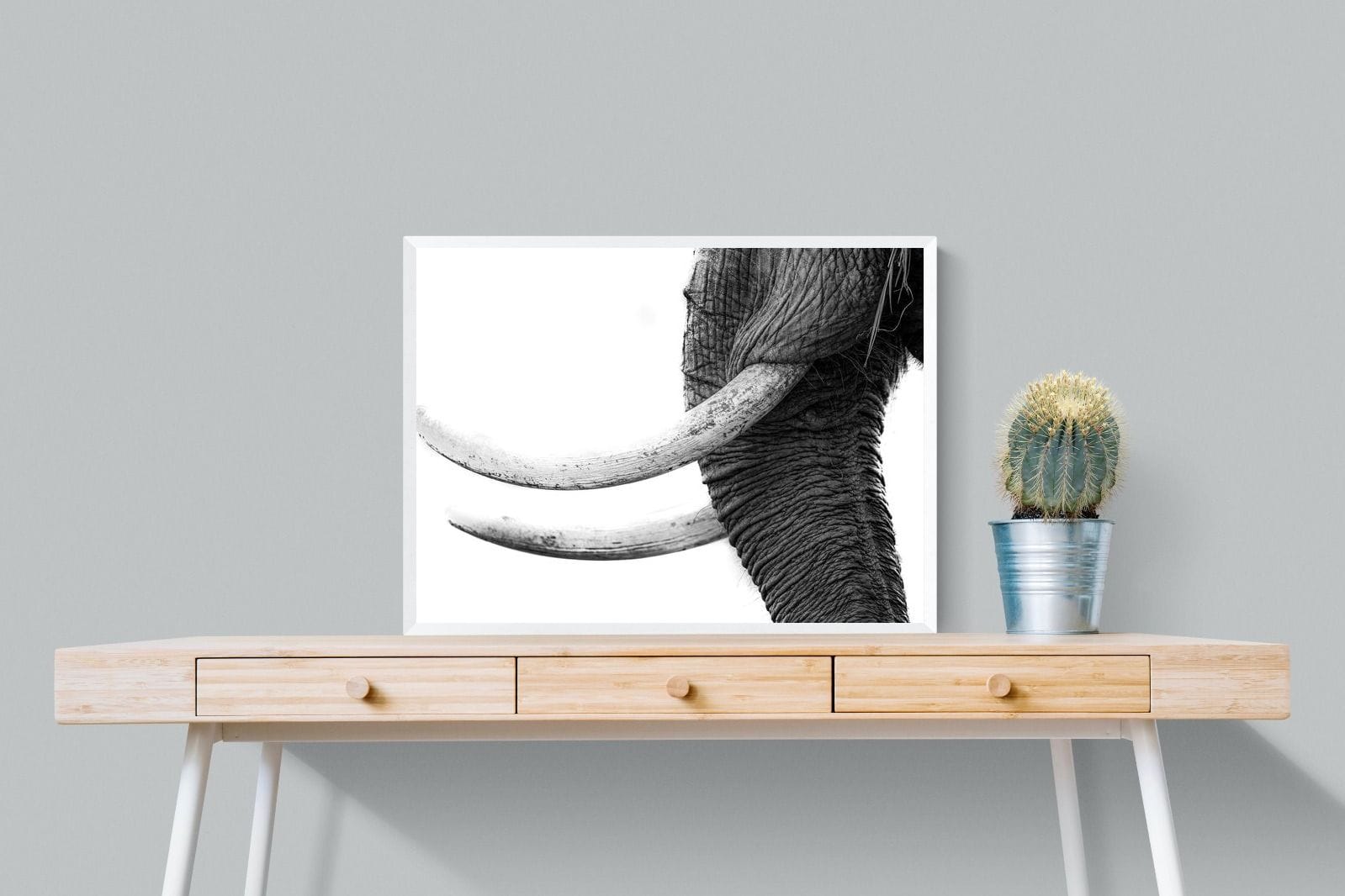 Ivory-Wall_Art-80 x 60cm-Mounted Canvas-White-Pixalot