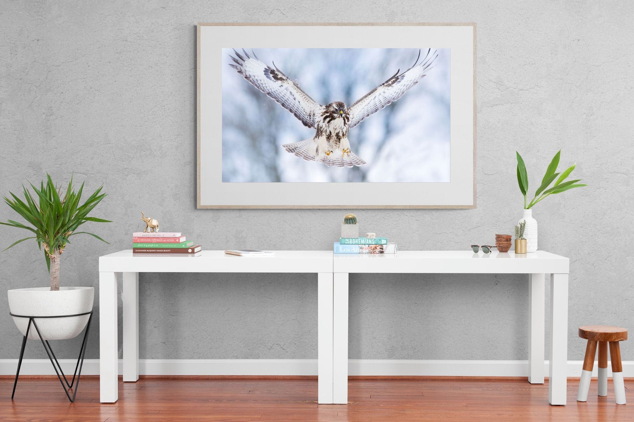 Jackal Buzzard-Wall_Art-150 x 100cm-Framed Print-Wood-Pixalot