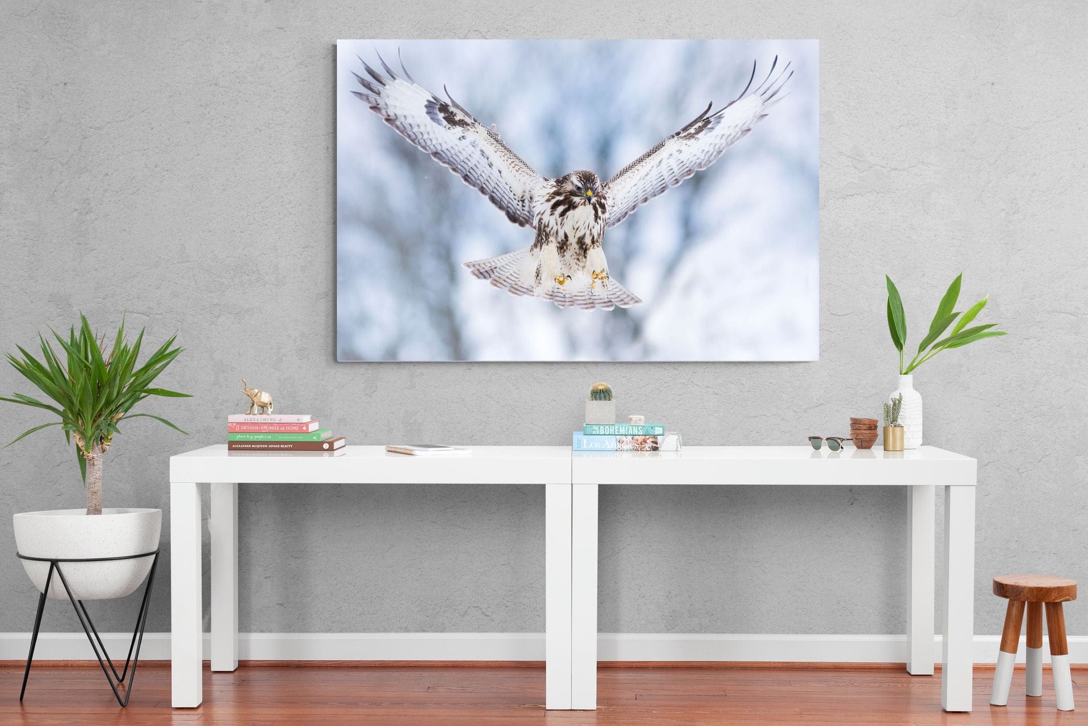 Jackal Buzzard-Wall_Art-150 x 100cm-Mounted Canvas-No Frame-Pixalot