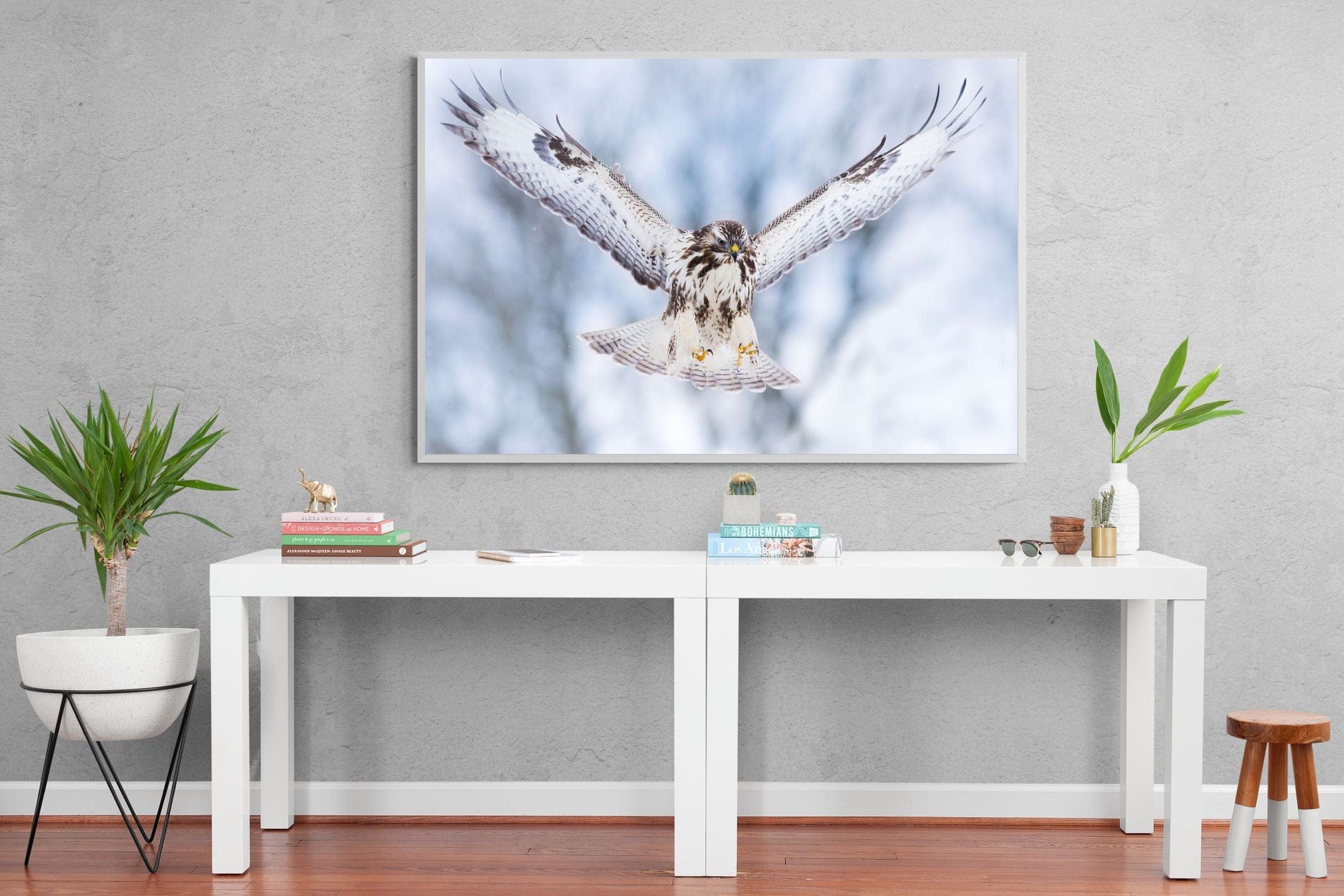 Jackal Buzzard-Wall_Art-150 x 100cm-Mounted Canvas-White-Pixalot