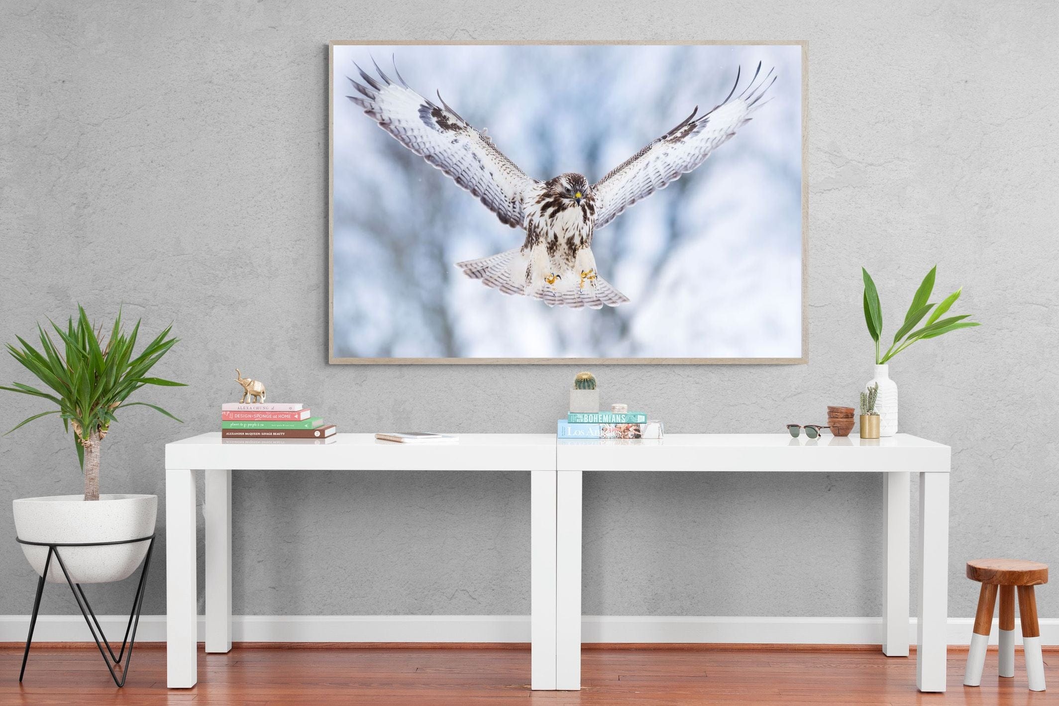 Jackal Buzzard-Wall_Art-150 x 100cm-Mounted Canvas-Wood-Pixalot