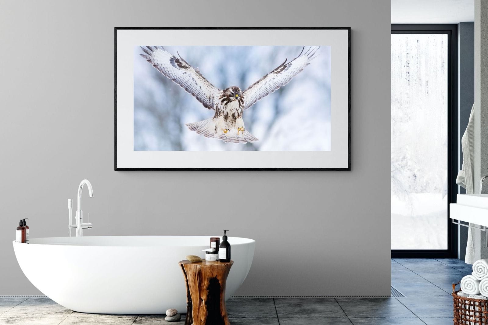 Jackal Buzzard-Wall_Art-180 x 110cm-Framed Print-Black-Pixalot